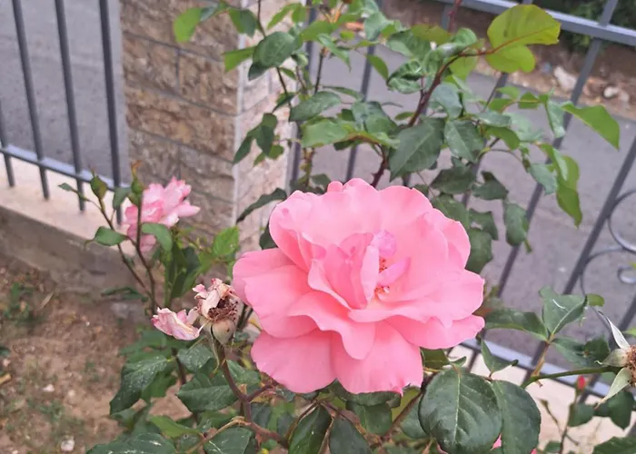 Дом отдыха Traditional Stone House-ideal For Families