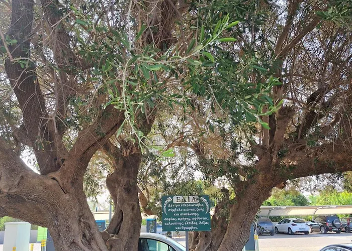 Traditional Stone House-ideal For Families * Ancient Olympia